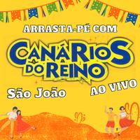 Eu Fiz uma Fogueirinha - Ao Vivo