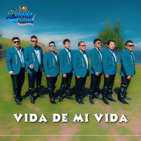Vida De Mi Vida