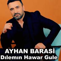 Dılemın Hawar Gule