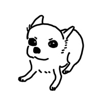 Chihuahua song