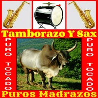 El Madrugador