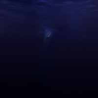 The Swell