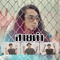 สายดํา