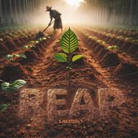 Reap