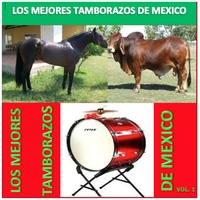 La Marcha De Zacatecas
