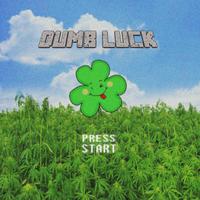 Dumb Luck
