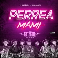 Perrea Mami