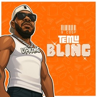 TEMU BLING