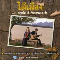 ชีวิตสั้นความรักยาว