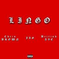 LINGO