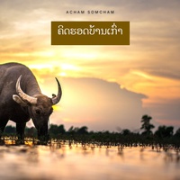 ຄິດຮອດບ້ານເກົ່າ
