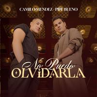 No Puedo Olvidarla