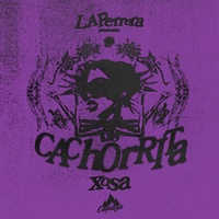 CACHORRITA
