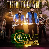 Disfruto La Vida