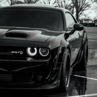Wild Horse