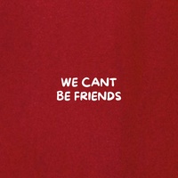 WE CANT BE FRIENDS
