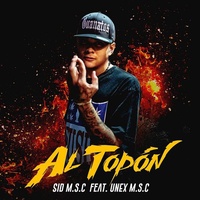 Al Topón