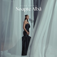 Noapte Albă