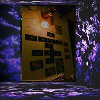 Angel Number 555 (10 Racks)