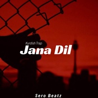 Jana Dıl