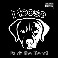 Moose