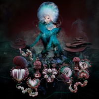 Mycelia