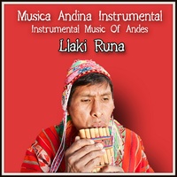 Camino de Llamas