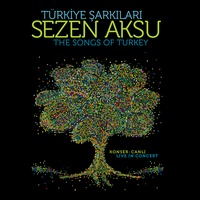 Gülümse - Canlı