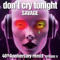 Don't Cry Tonight (Panorama 80 Extended)