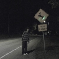deer in headlights