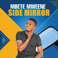 Side Mirror