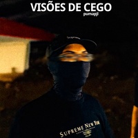 Visões de cego