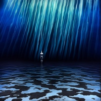 Oceanic Echoes in Silence