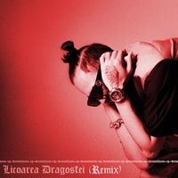 Licoarea dragostei - Remix