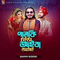 পালকি চইড়া আইবা জামাই