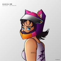 BANDIDA 泥棒