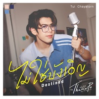 Destined - from Thame-Po HEART THAT SKIPS A BEAT Original Soundtrack