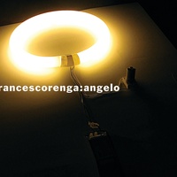 Angelo