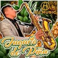 Juguito de Piña