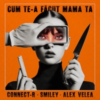 Cum Te-a Facut Mama Ta - Snippet