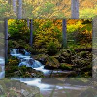 A Day In Nature