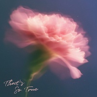 That's So True (Cover)