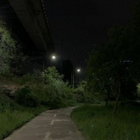 la lecon particuliere