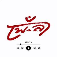 คืนป่า