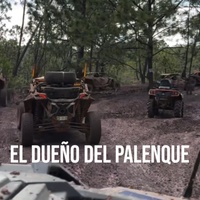 El dueño del palenque