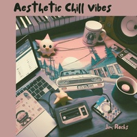 Aesthetic Chill Vibes