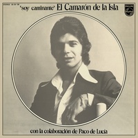 La Vida Es Una Ilusión - Fandangos De Juan El Camas