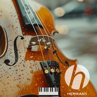 Yeshua Violin