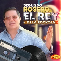 Tú Fuiste Mi Gran Amor