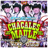 El Chorito de Violeta